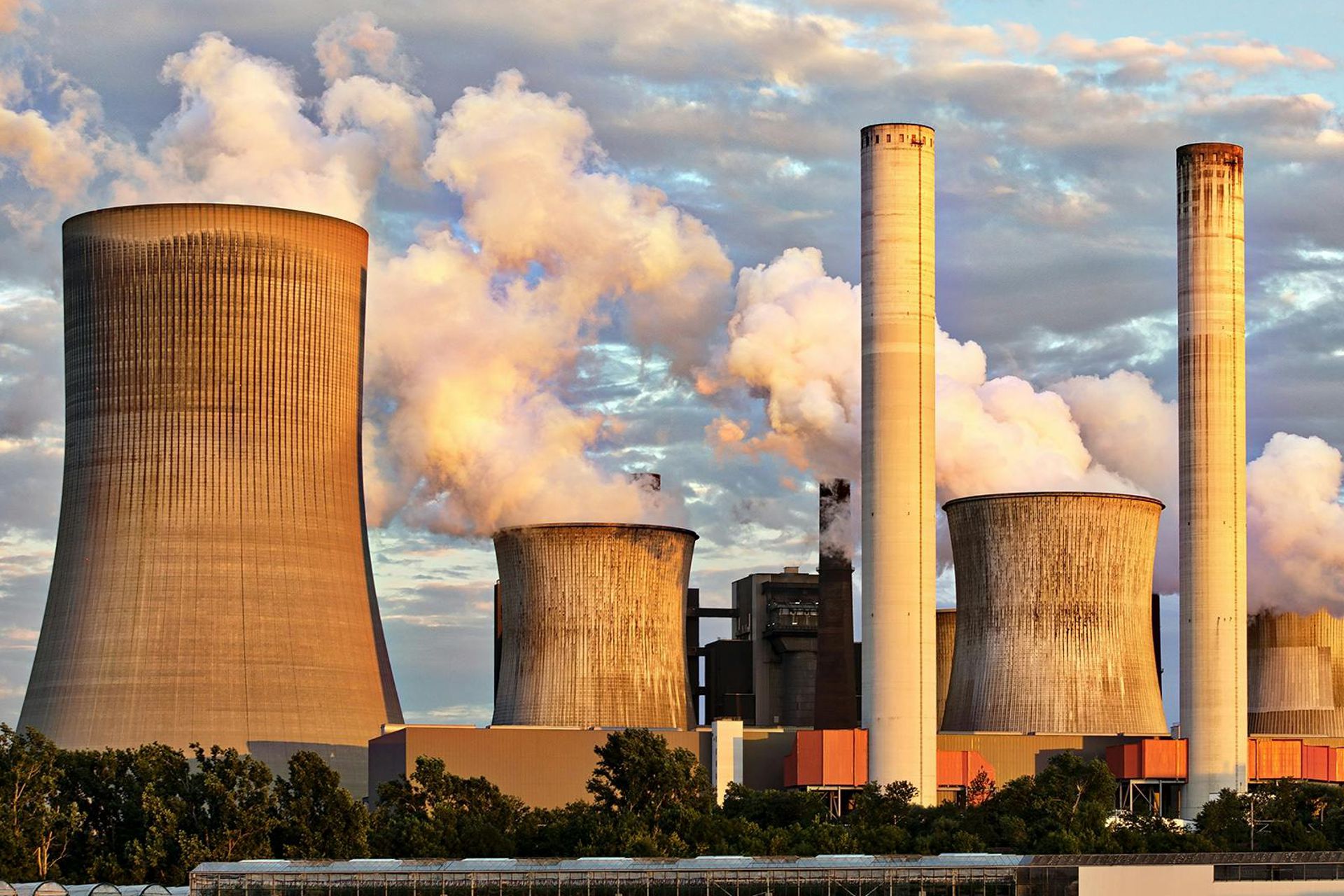 Research & Consulting