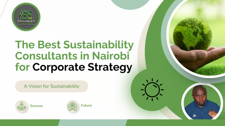 The Best Sustainability Consultants in Nairobi for Corporate Strategy